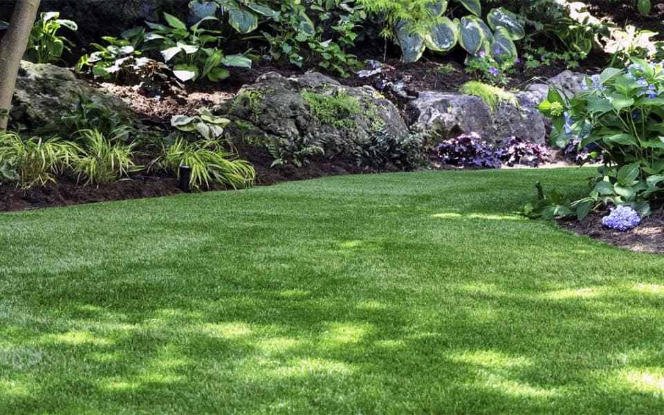 5 Reasons Why Your Dog Will Enjoy Artificial Grass In Your Backyard